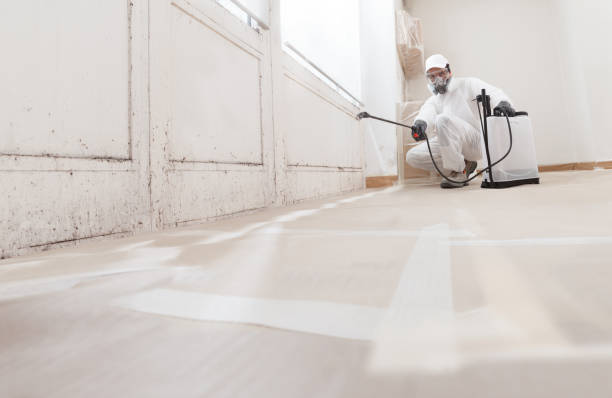 24/7 Emergency Mold Inspection experts in Dendron, VA
